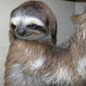 Meet your Posher, Matt